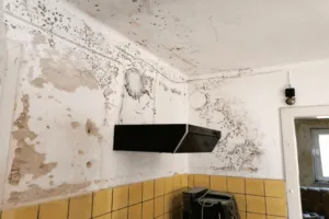 odore di muffa in casa